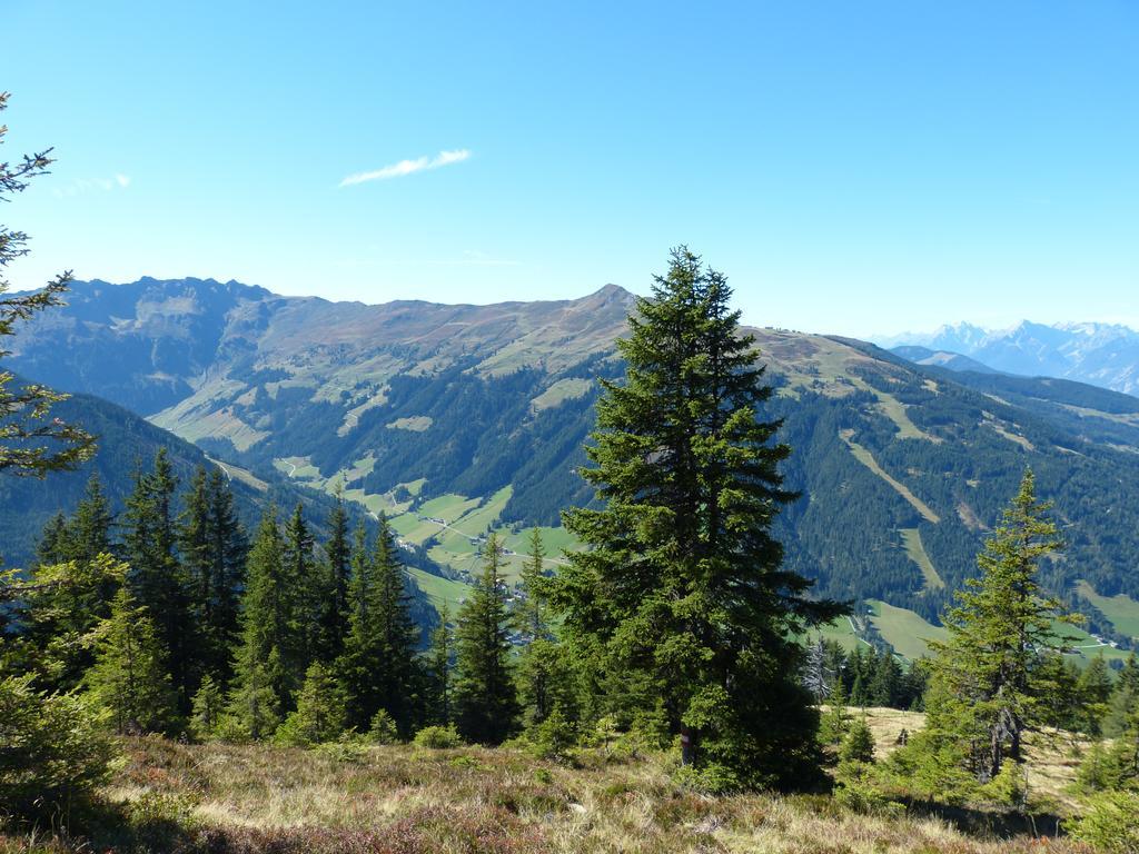 Pension Achensee Alpbach Eksteriør billede